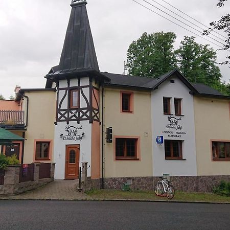 Penzion U Bileho Jaka Vilemov  Exteriör bild