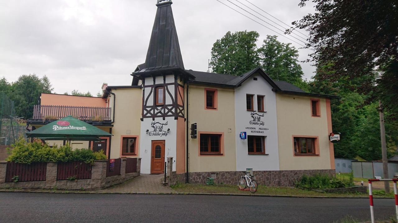 Penzion U Bileho Jaka Vilemov  Exteriör bild